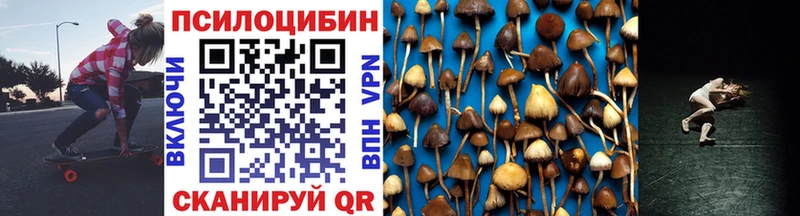 Псилоцибиновые грибы Cubensis  Купить закладки  Урус-Мартан 
